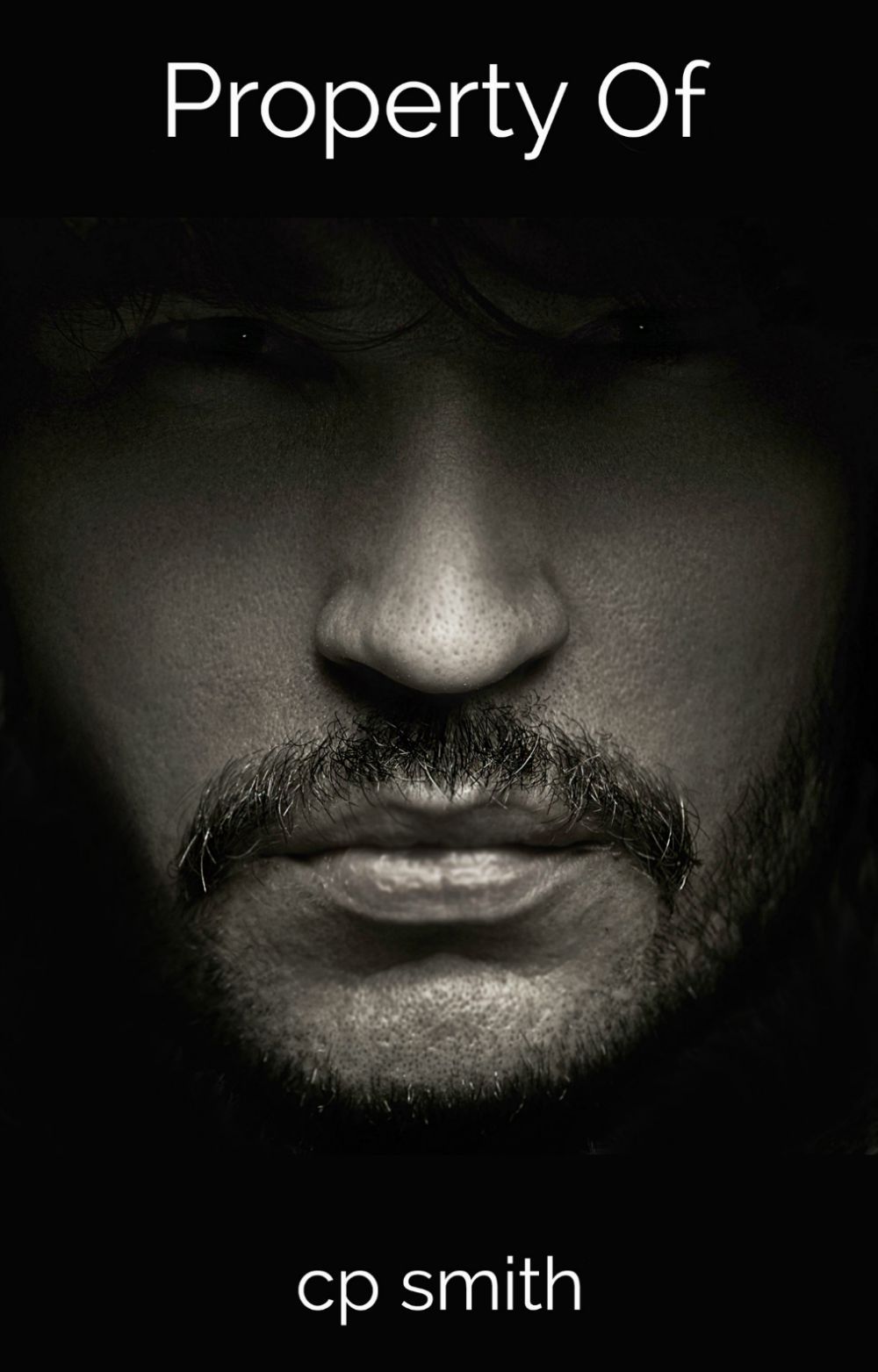 Property Of book cover