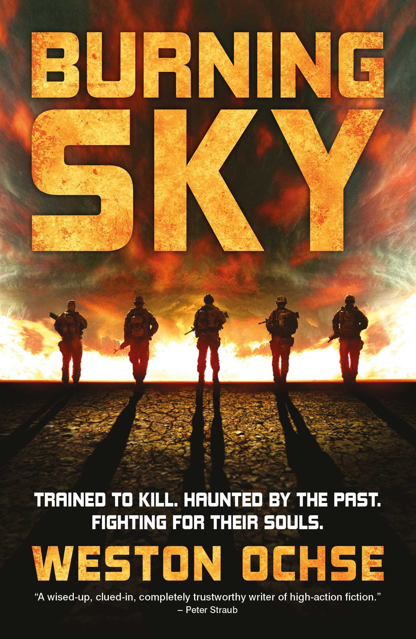 Sky book cover 1
