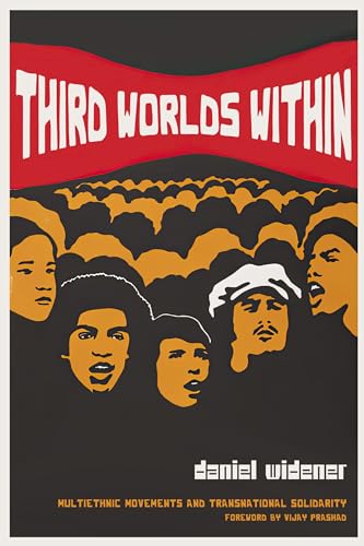 Third Worlds Within book cover