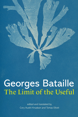 The Limit of the Useful book cover