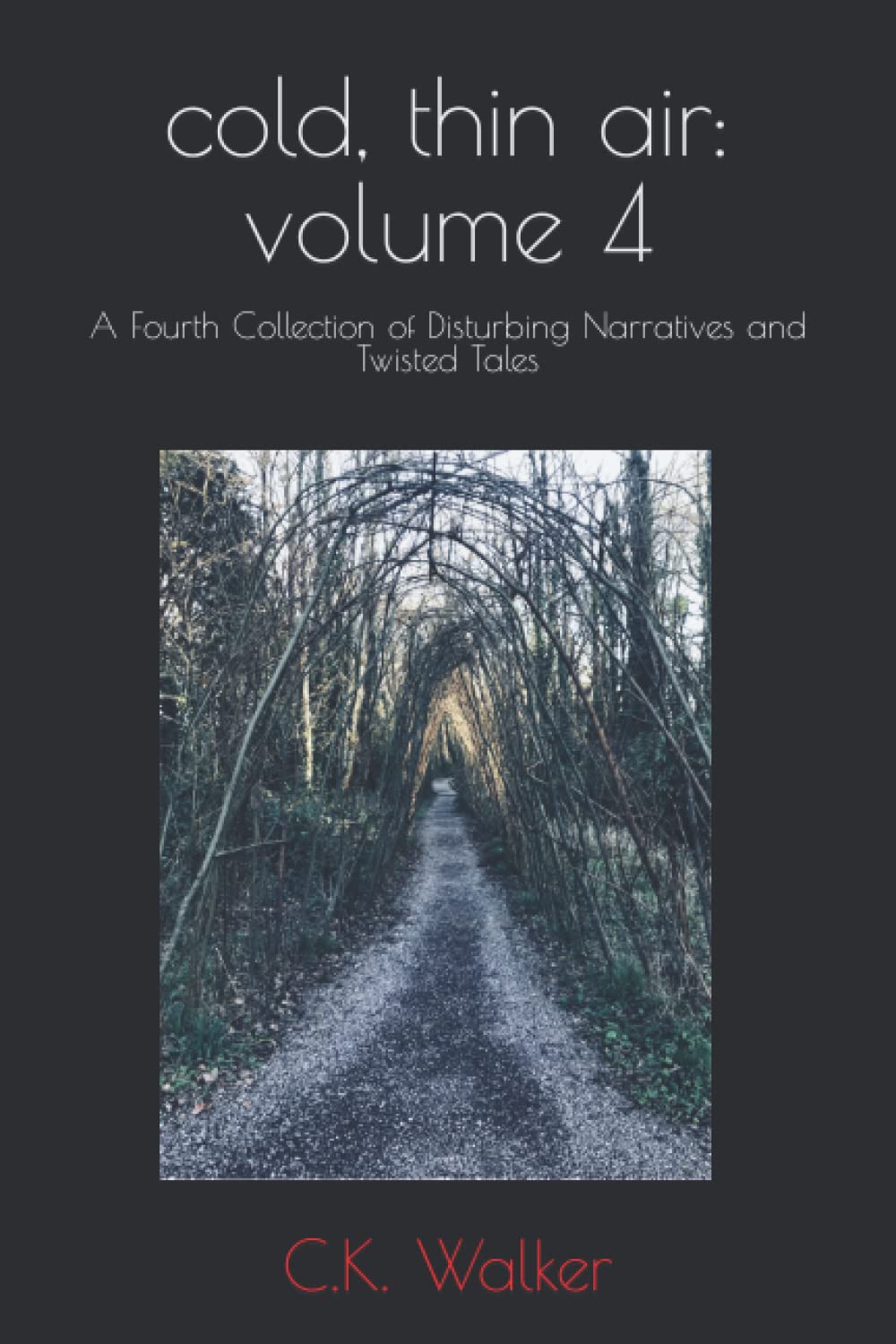 cold, thin air book cover