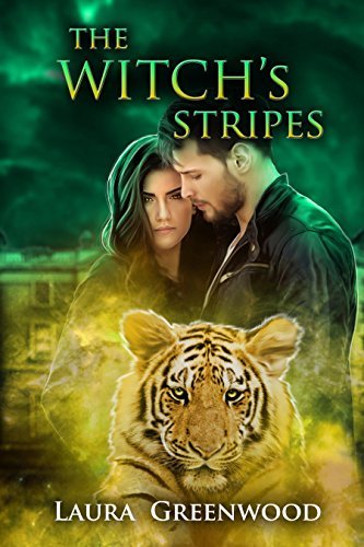 The Witch's Stripes book cover