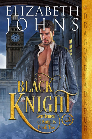 Gentlemen of Knights book cover 2