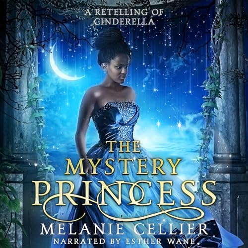 The Mystery Princess book cover
