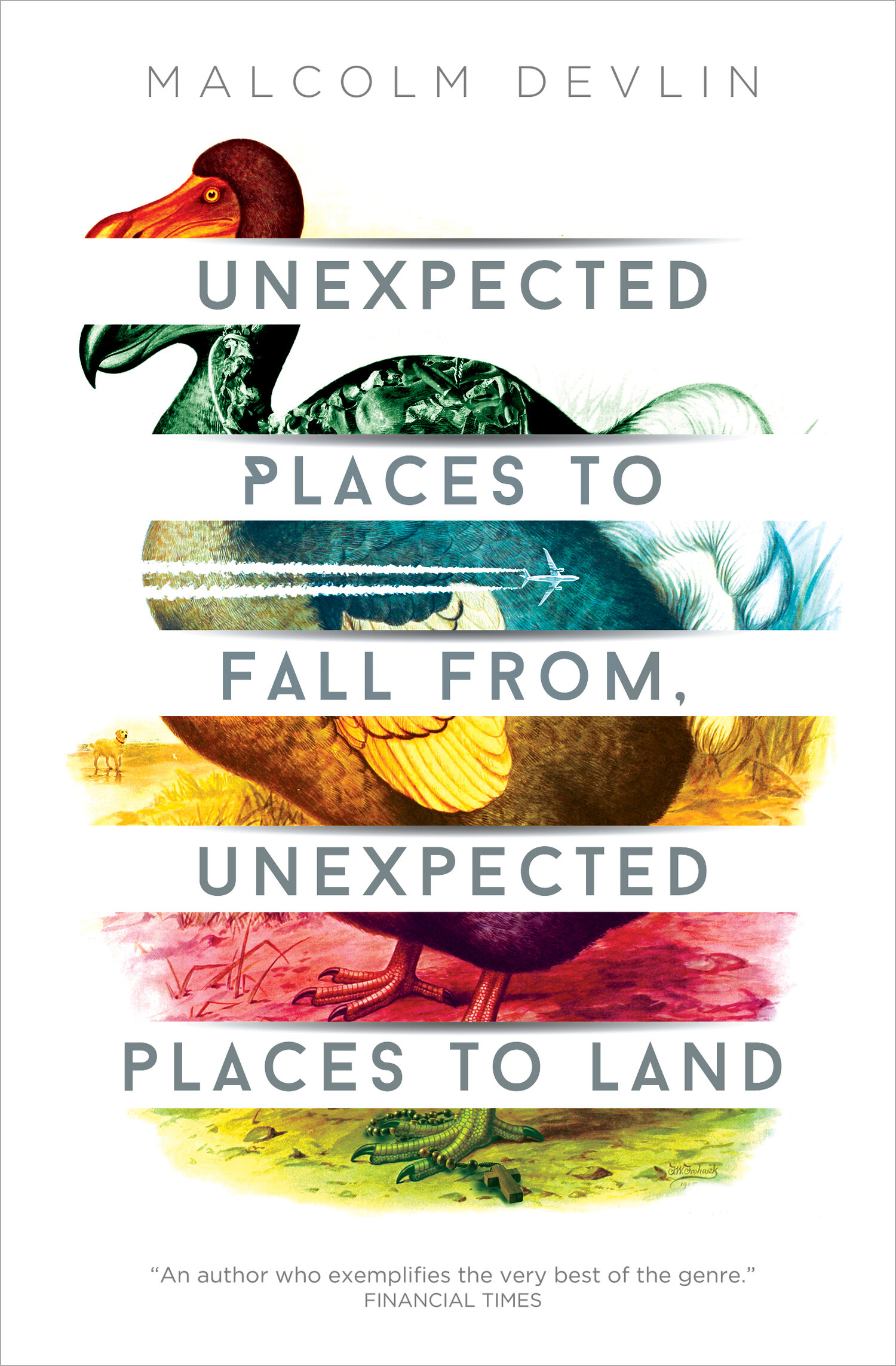 Unexpected Places to Fall From, Unexpected Places to Land book cover