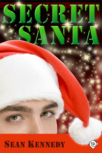 Secret Santa book cover