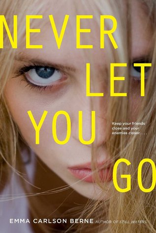 Never Let You Go book cover