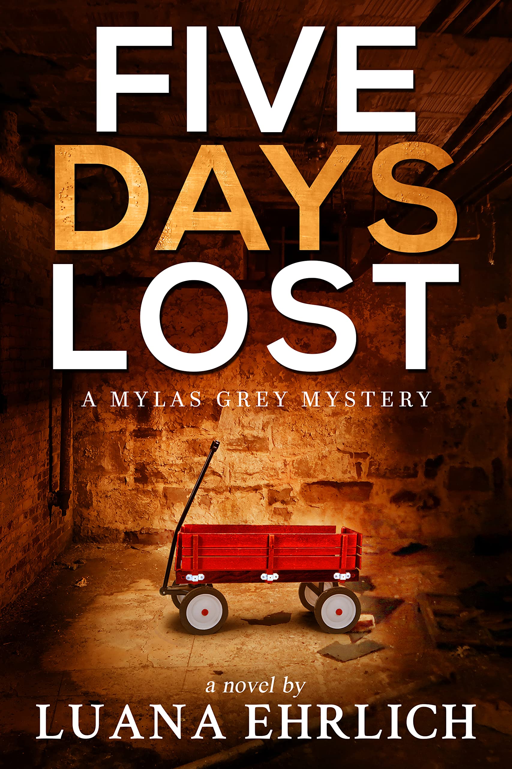 Five Days Lost book cover