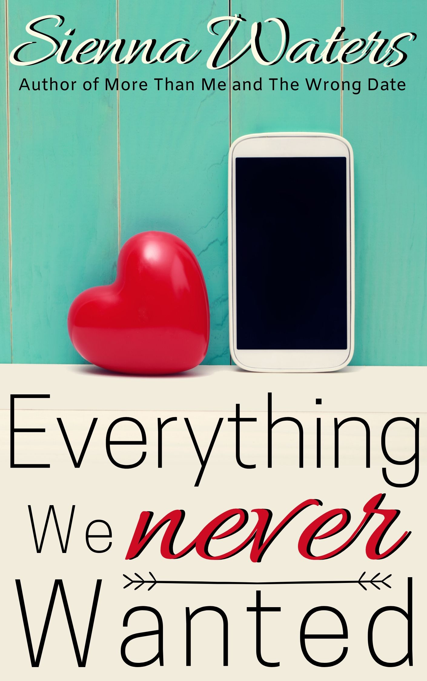 Everything We Never Wanted book cover