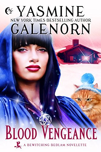 Blood Vengeance book cover