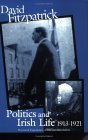 Politics and Irish Life 1913-21 book cover