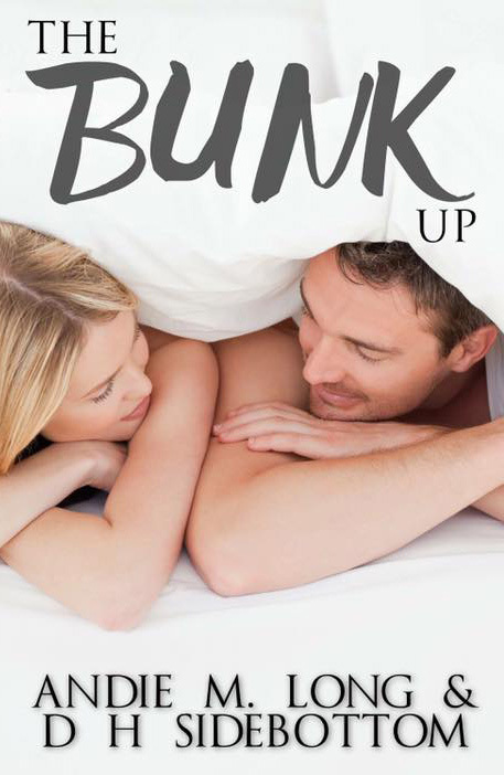 The Bunk Up book cover