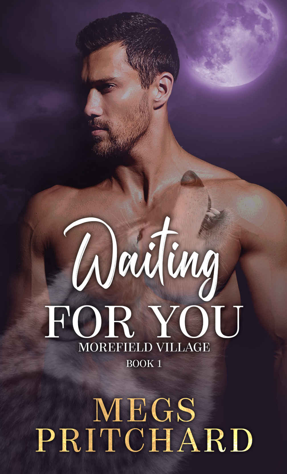 Morefield Village book cover 1