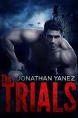 The Elite book cover 2