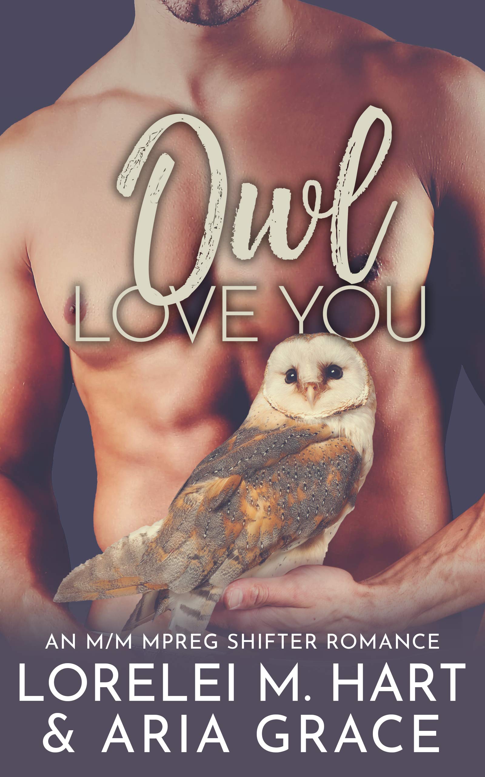 Owl Love You book cover