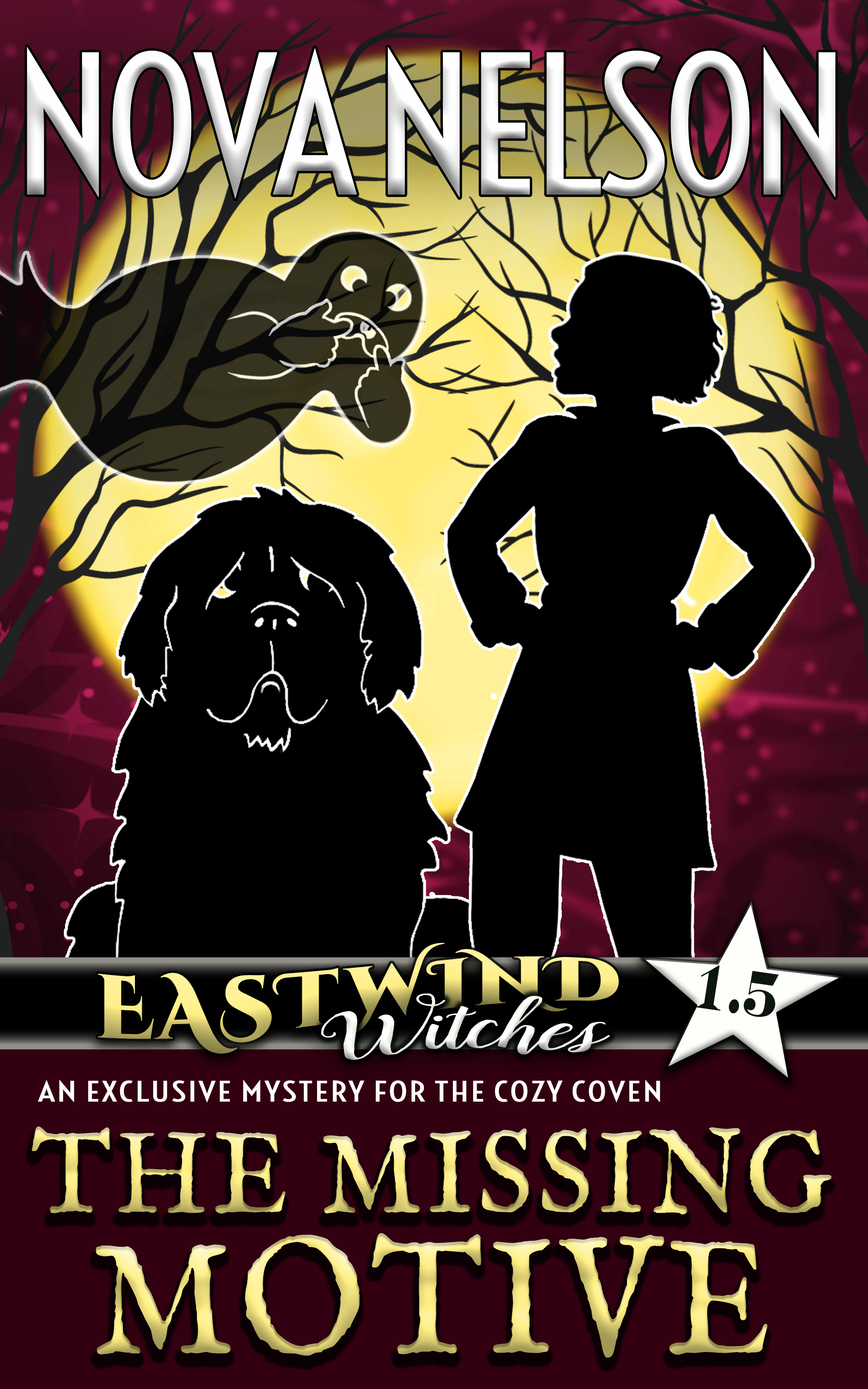 The Missing Motive book cover