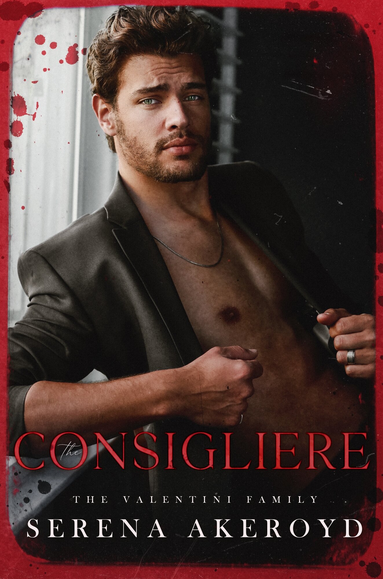 The Valentini Family book cover 3