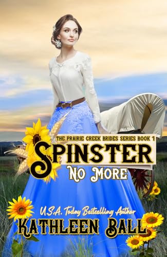 Spinster No More book cover