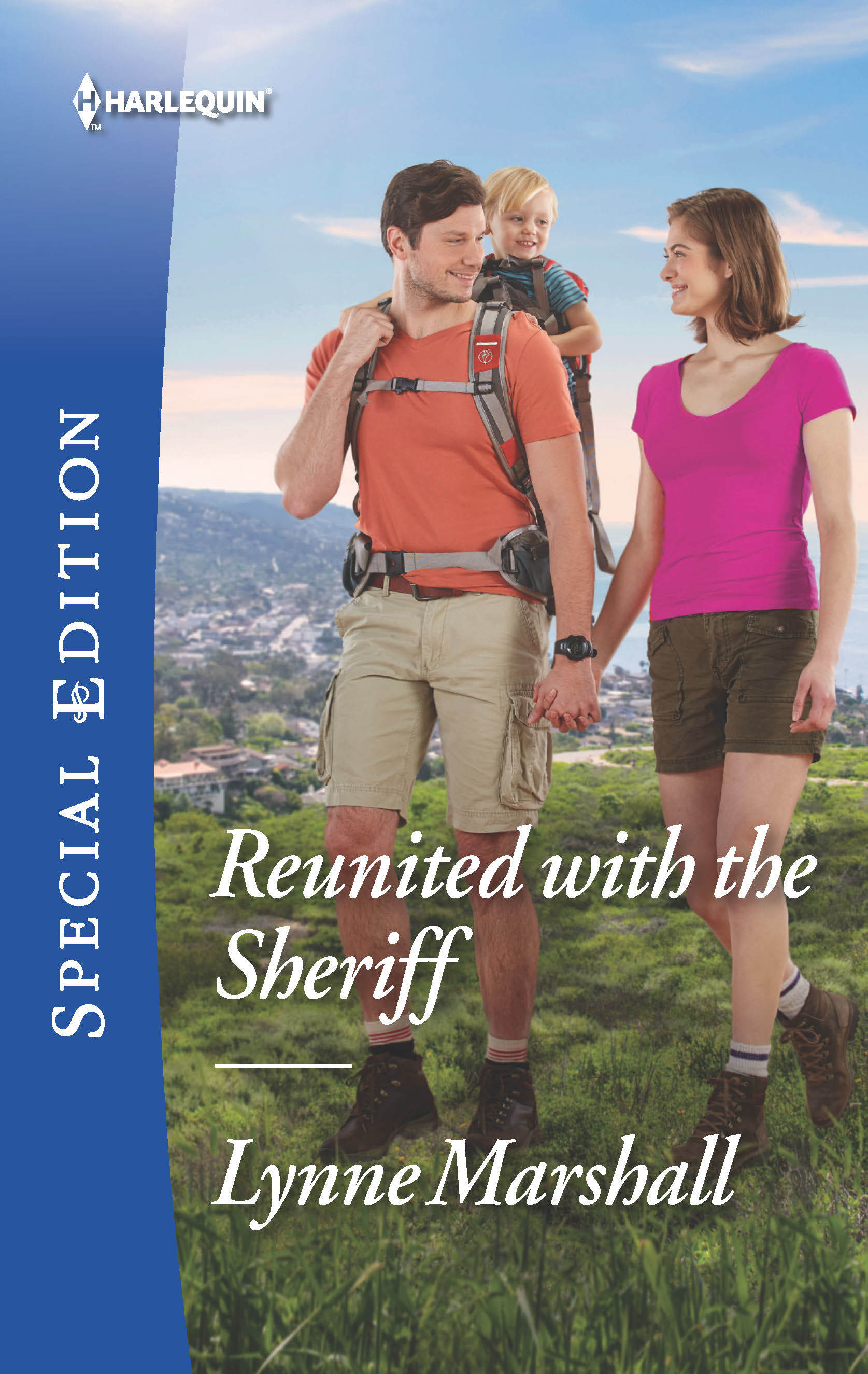 Delaneys of Sandpiper Beach book cover 3