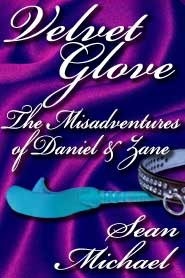 The Misadventures of Daniel & Zane book cover