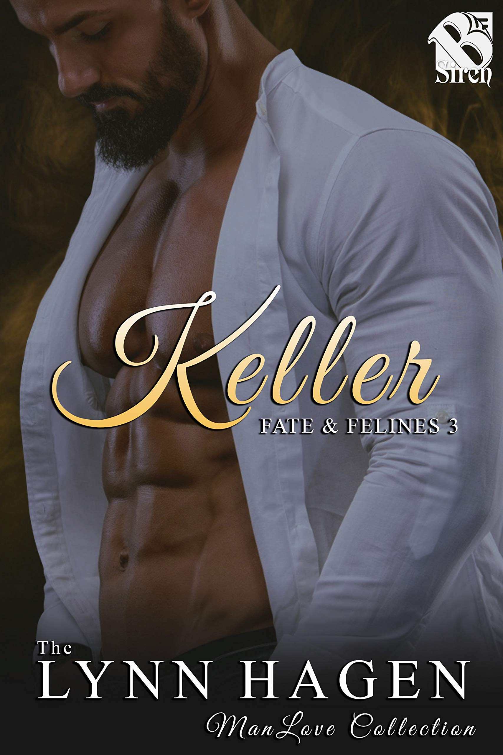 Fate & Felines book cover 3