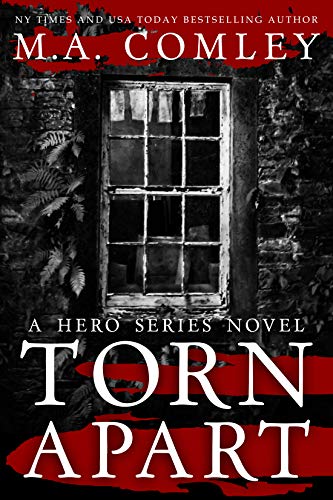 Hero book cover 1