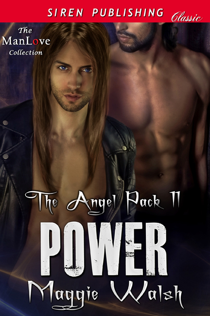 Power book cover