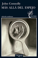 The Reflecting Eye book cover