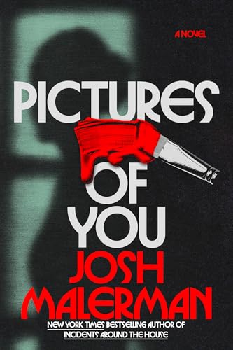 Pictures of You book cover