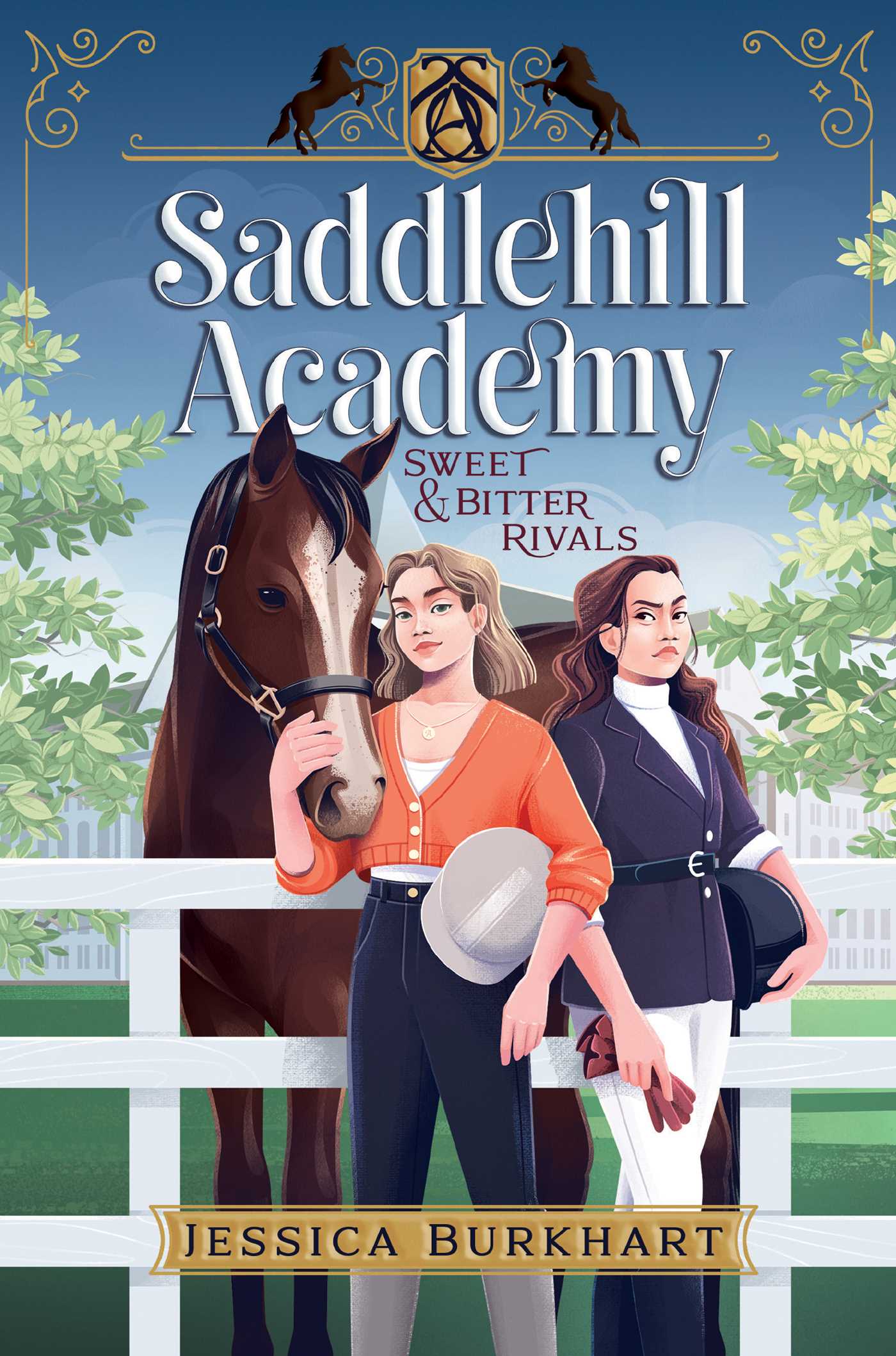 Saddlehill Academy book cover 1