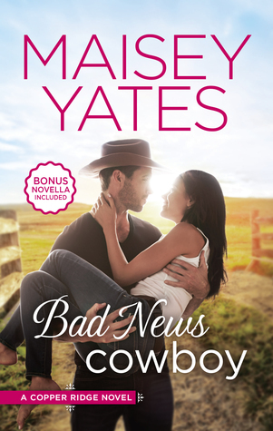 Copper Ridge book cover 3