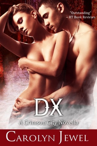 DX book cover