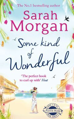 Puffin Island book cover 2