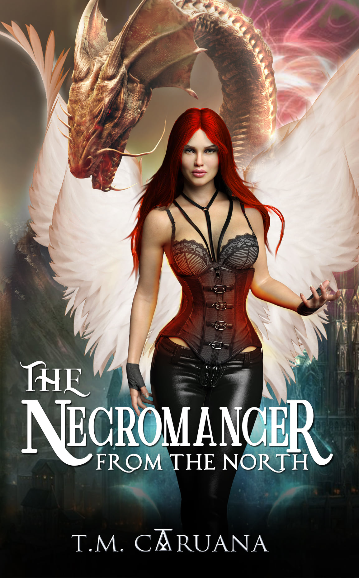 The Prophesied Sorcerer book cover 1
