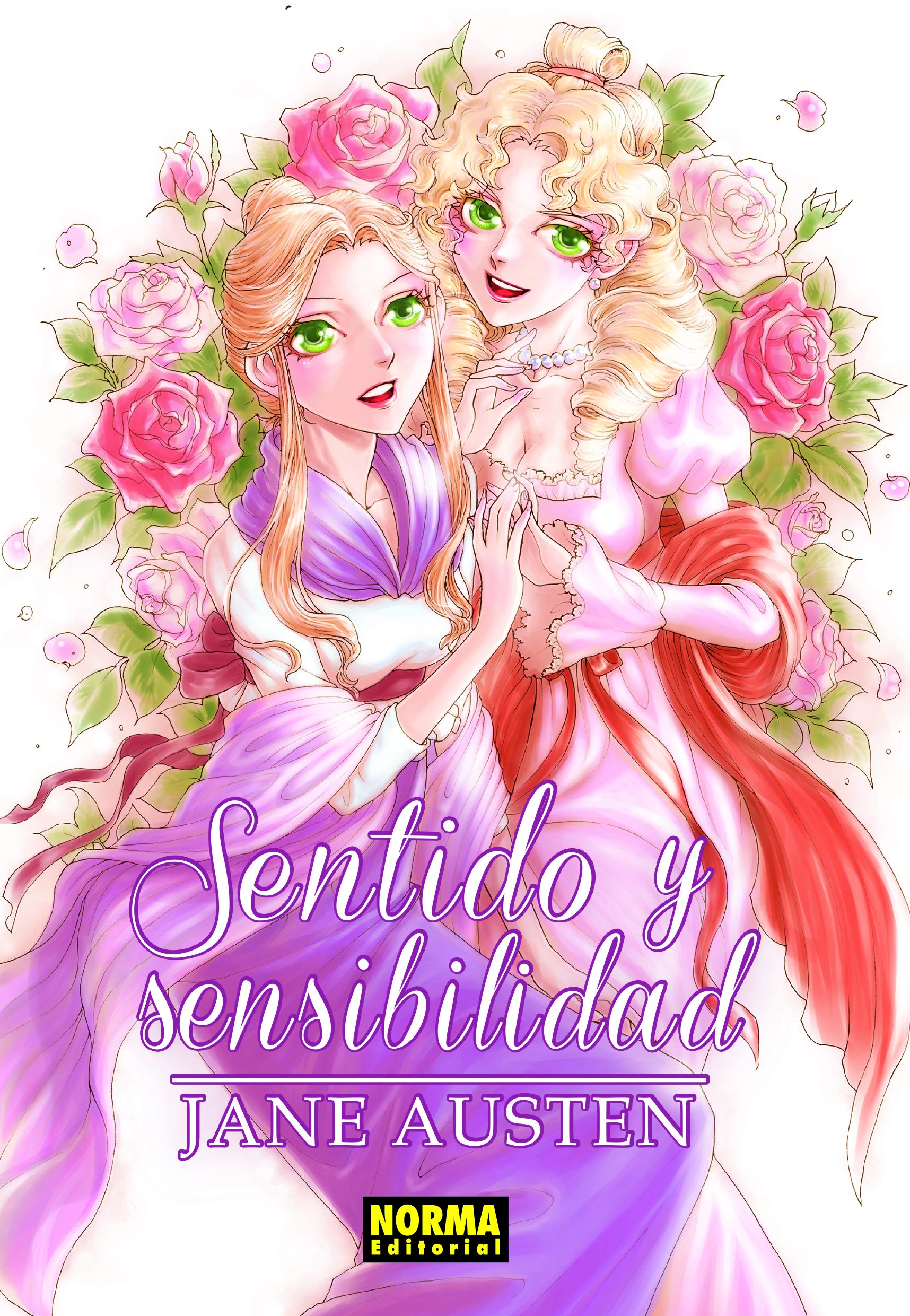 SENTIDO Y SENSIBILIDAD book cover