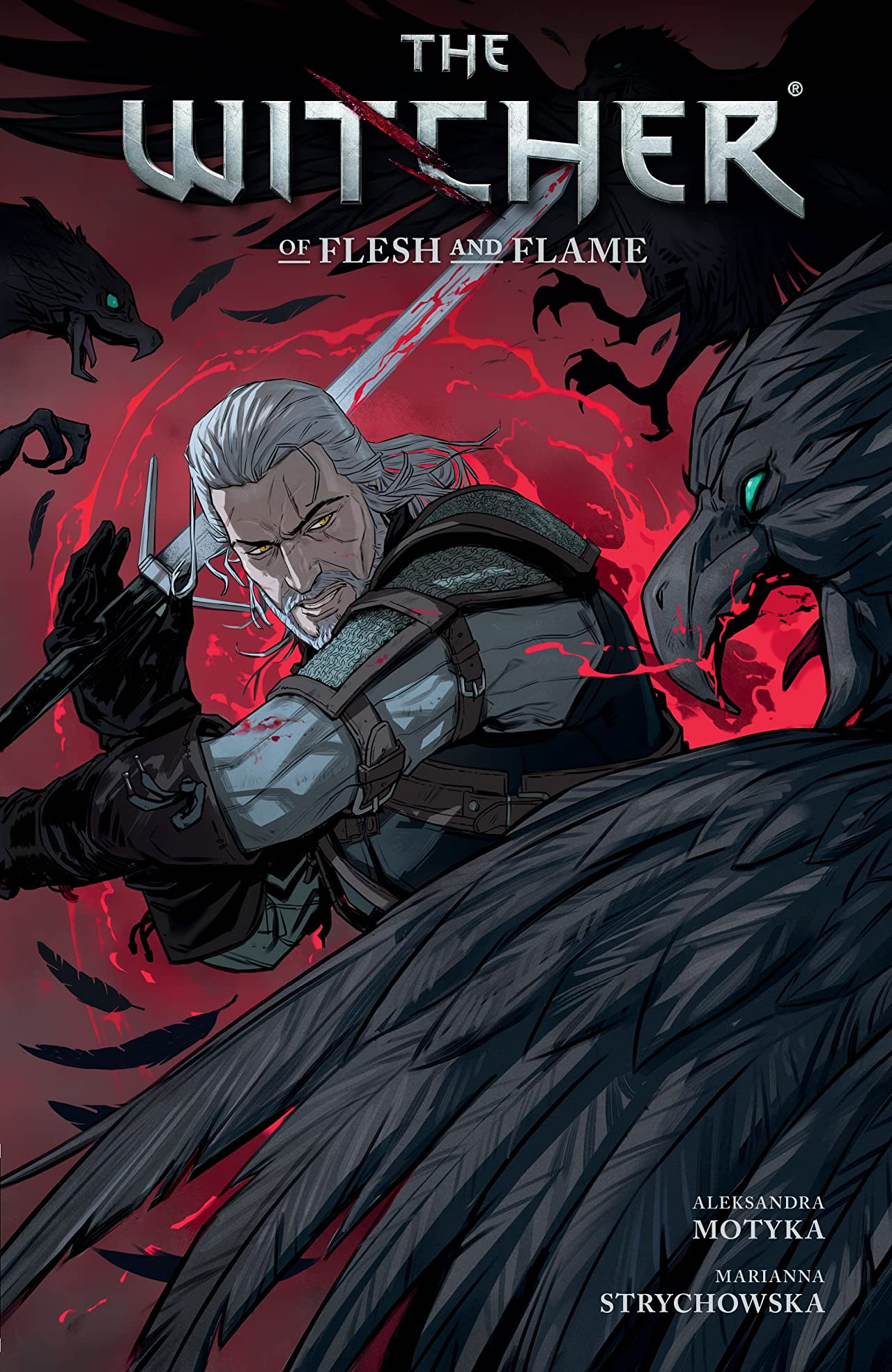 The Witcher (Dark Horse Comics) book cover 3