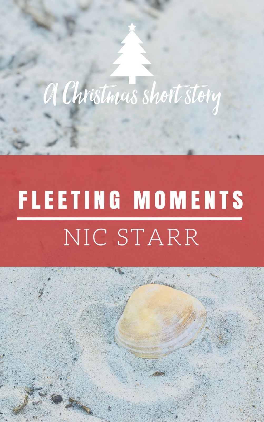 Fleeting Moments book cover