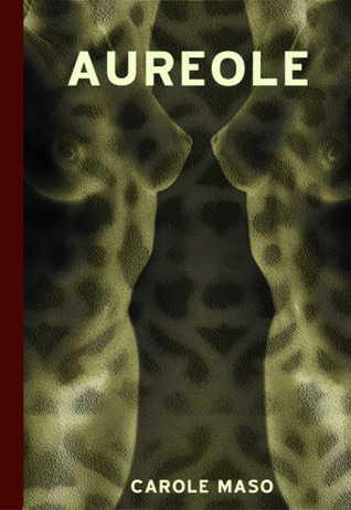 Aureole book cover