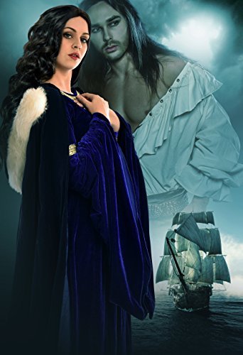 Revenge of the Pirate Twins book cover