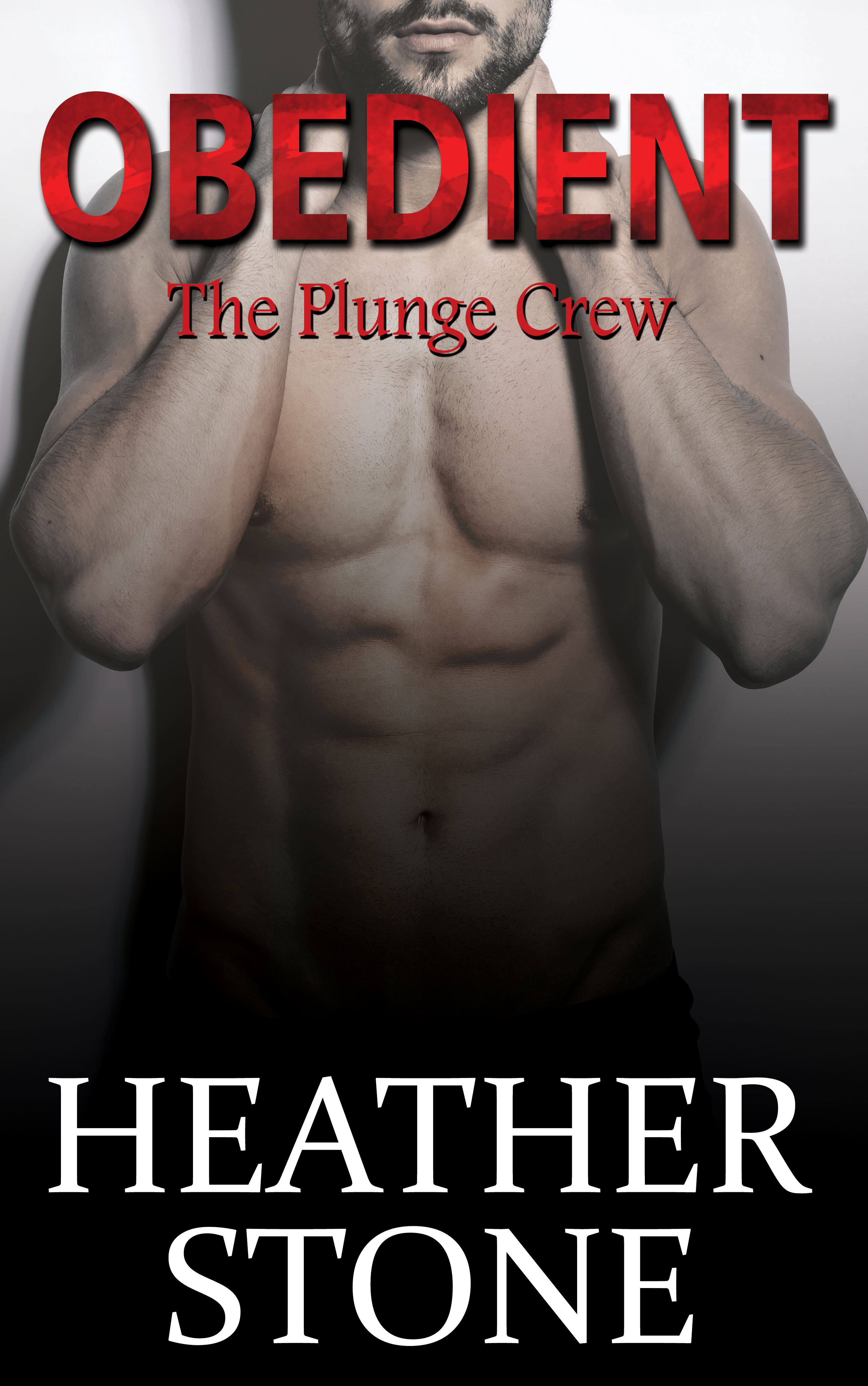 The Plunge Crew book cover 1