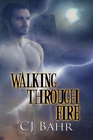 The Fire Chronicles book cover 1