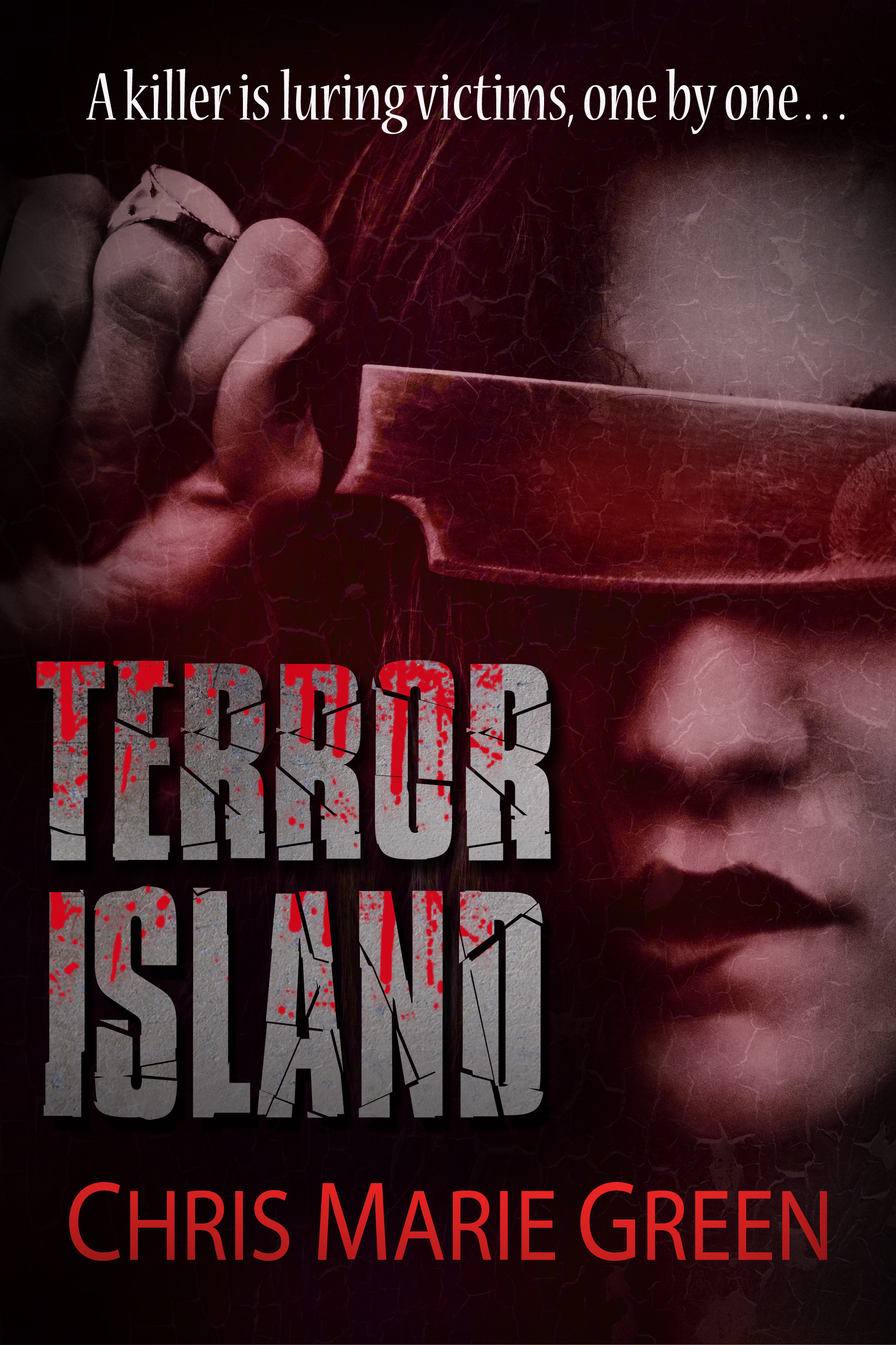 Final Girls book cover 1