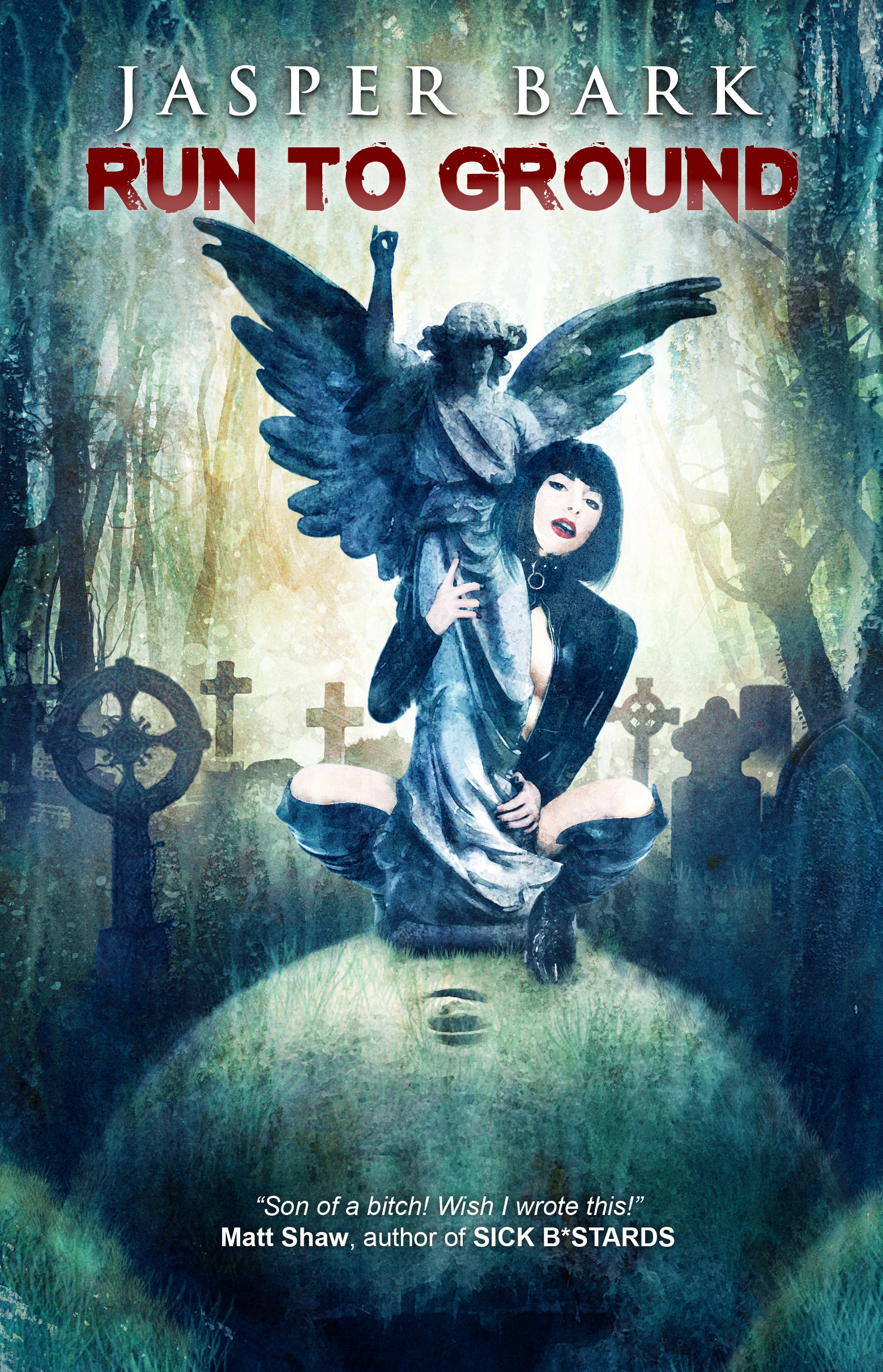 Run to Ground book cover