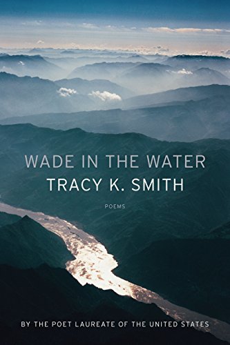 Wade in the Water book cover