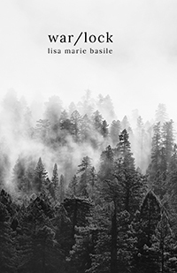 war/lock book cover