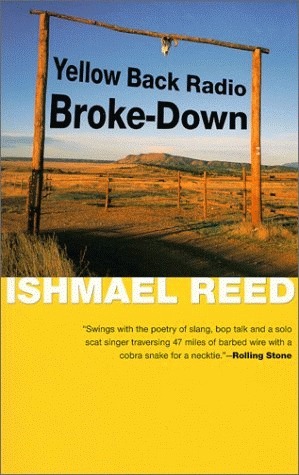 Yellow Back Radio Broke-Down (American Literature book cover