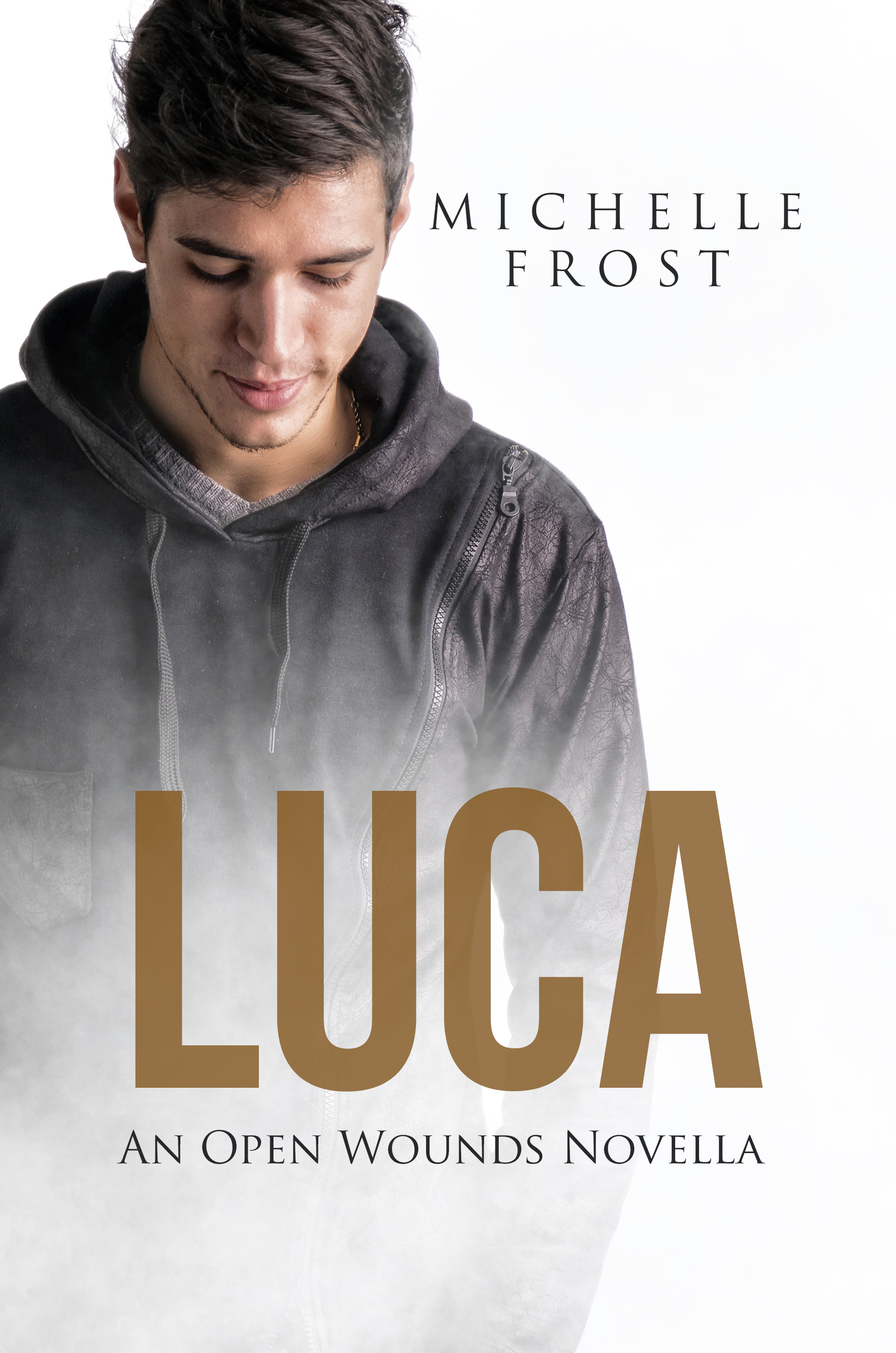 Luca book cover