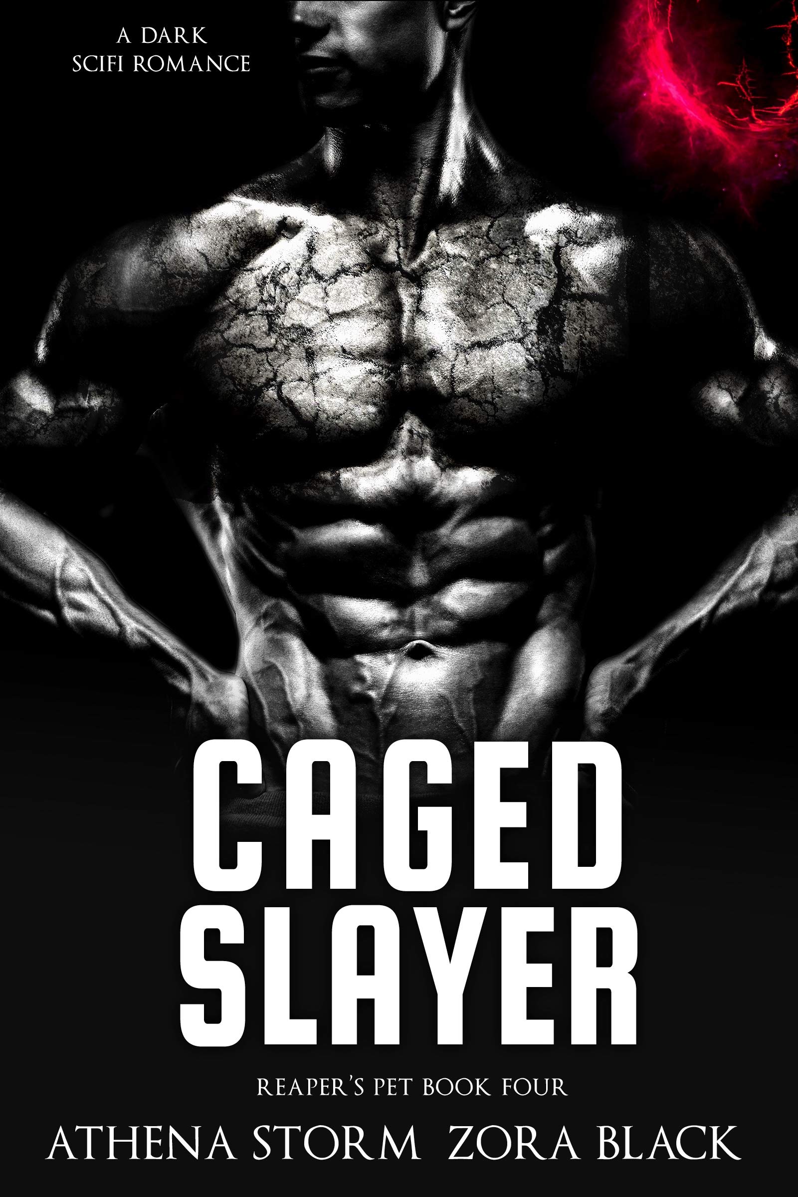 Reaper's Pet book cover 1