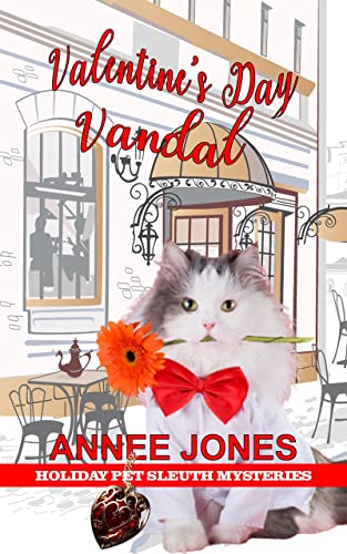 Valentine's Day Vandal book cover