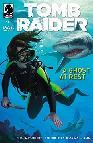 Tomb Raider #11 book cover